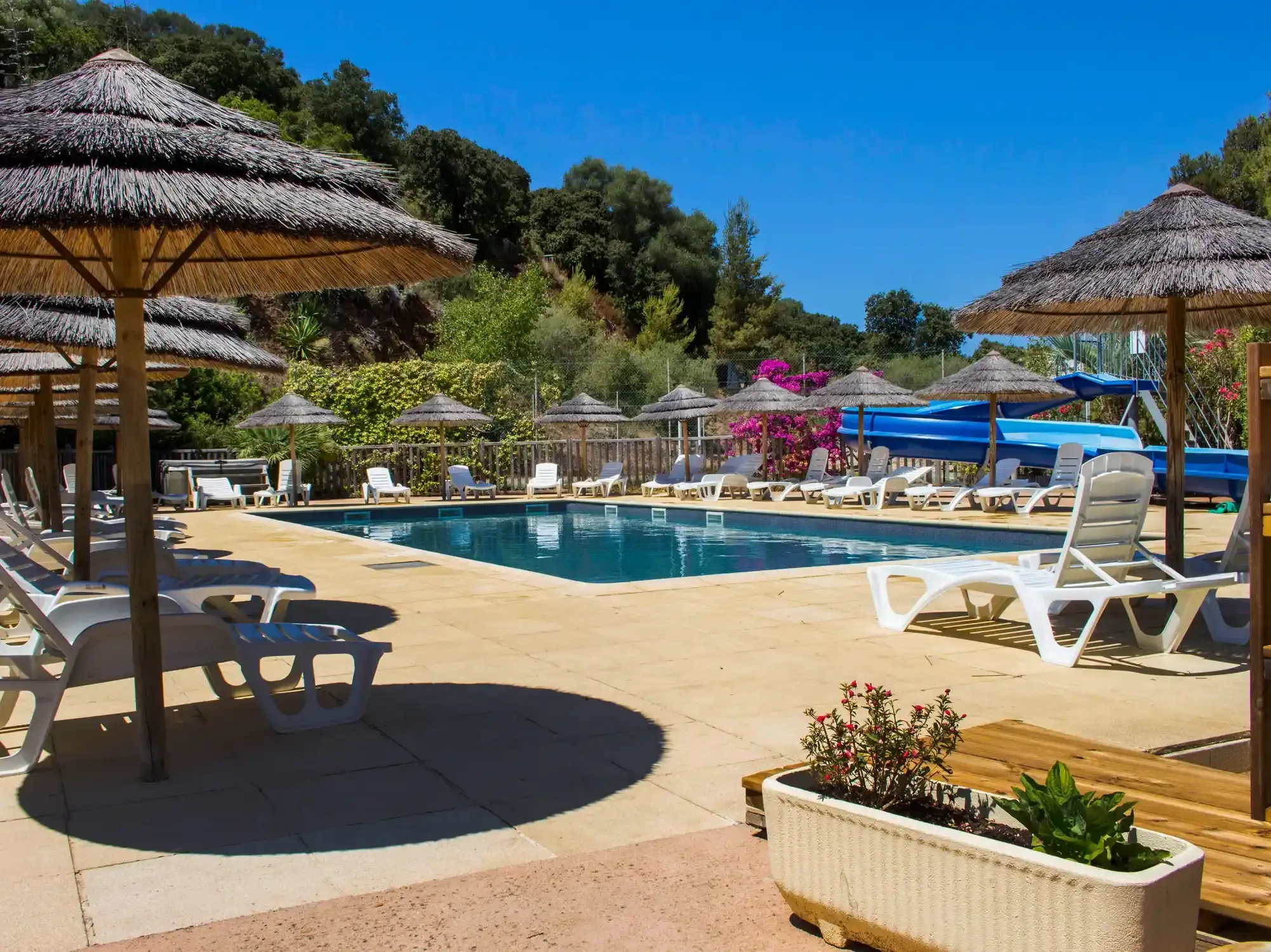 camping corse piscine cargese detente