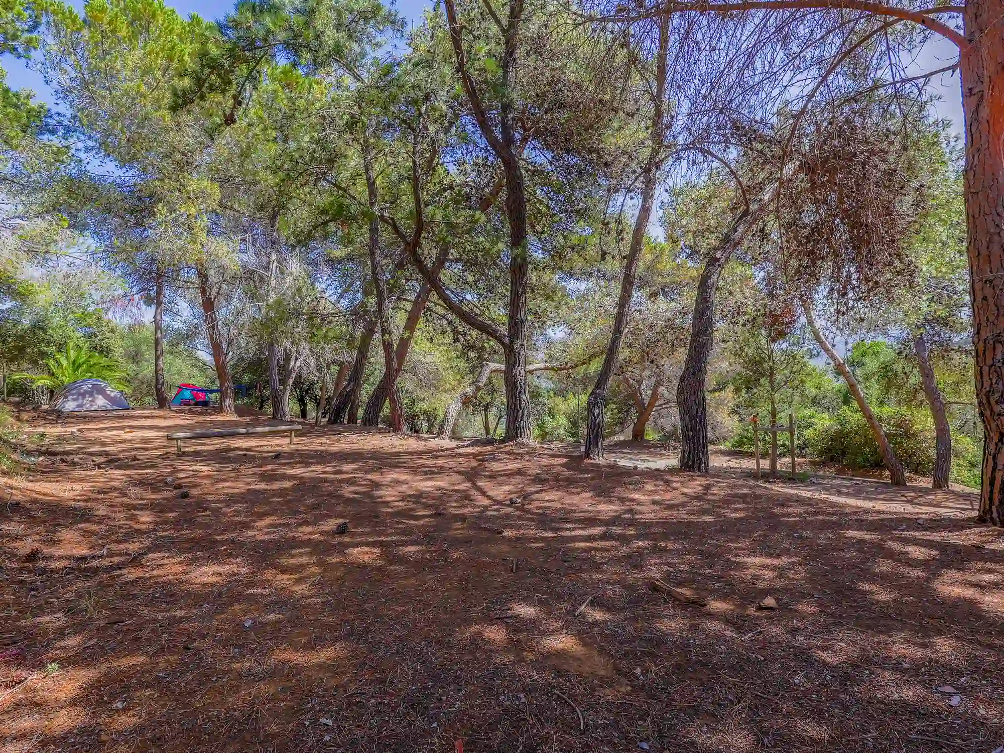 empty site camping cargese